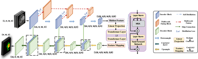 Figure 1 for MISSU: 3D Medical Image Segmentation via Self-distilling TransUNet