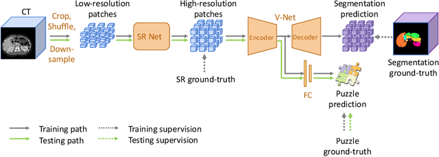 Figure 3 for Domain Adaptive Relational Reasoning for 3D Multi-Organ Segmentation