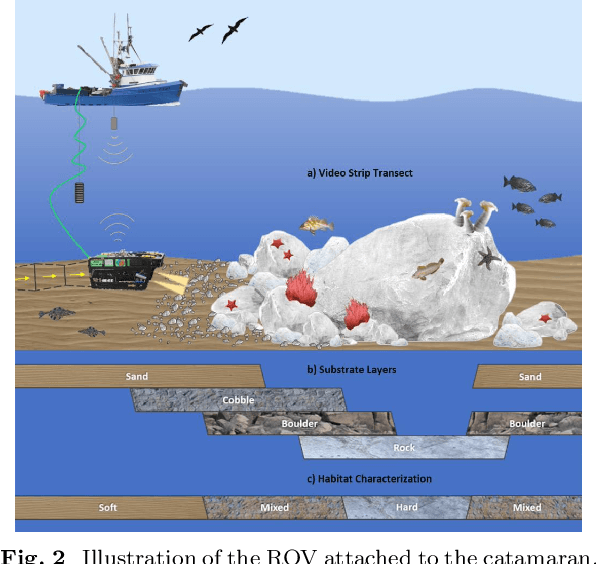 Figure 3 for Context-Driven Detection of Invertebrate Species in Deep-Sea Video