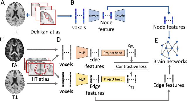 Figure 1 for Predicting conversion of mild cognitive impairment to Alzheimer's disease