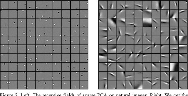 Figure 2 for Efficient Visual Coding: From Retina To V2