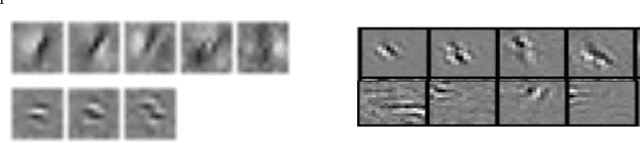 Figure 4 for Efficient Visual Coding: From Retina To V2
