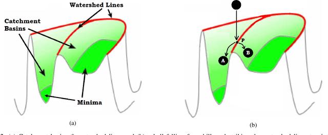 Figure 2 for A Novel Falling-Ball Algorithm for Image Segmentation