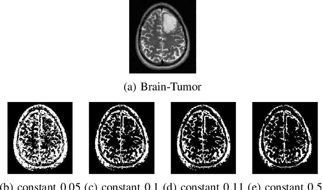 Figure 4 for A Novel Falling-Ball Algorithm for Image Segmentation