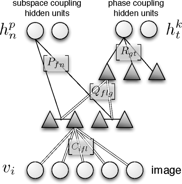 Figure 1 for Modeling Image Structure with Factorized Phase-Coupled Boltzmann Machines