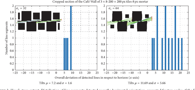 Figure 3 for The Cafe Wall Illusion: Local and Global Perception from multiple scale to multiscale