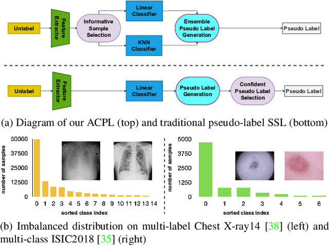 Figure 1 for ACPL: Anti-curriculum Pseudo-labelling for Semi-supervised Medical Image Classification