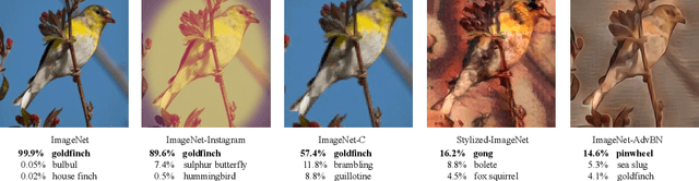 Figure 1 for Preparing for the Worst: Making Networks Less Brittle with Adversarial Batch Normalization