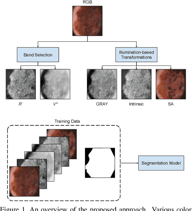 Figure 1 for Illumination-based Transformations Improve Skin Lesion Segmentation in Dermoscopic Images