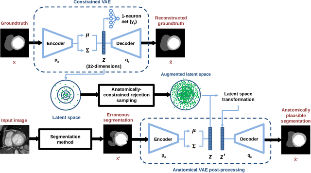 Figure 1 for Cardiac Segmentation with Strong Anatomical Guarantees