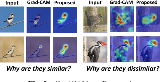 Figure 3 for Towards Visually Explaining Similarity Models