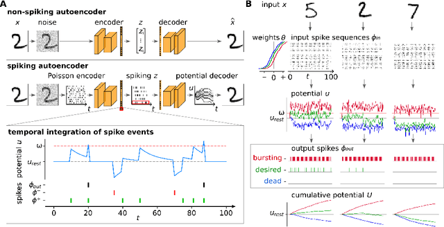Figure 1 for Training Deep Spiking Auto-encoders without Bursting or Dying Neurons through Regularization