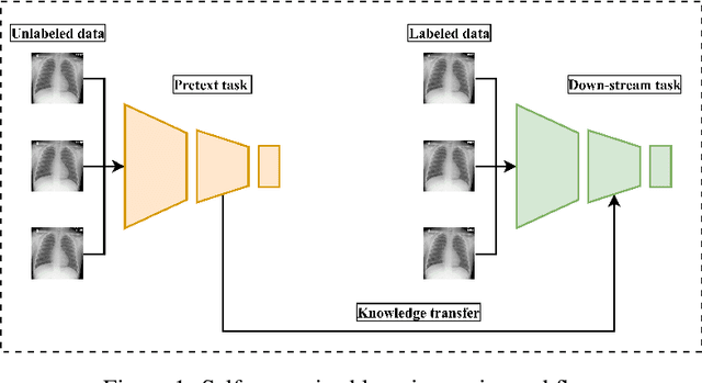 Figure 1 for Self-supervised learning methods and applications in medical imaging analysis: A survey
