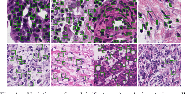 Figure 1 for SRPN: similarity-based region proposal networks for nuclei and cells detection in histology images