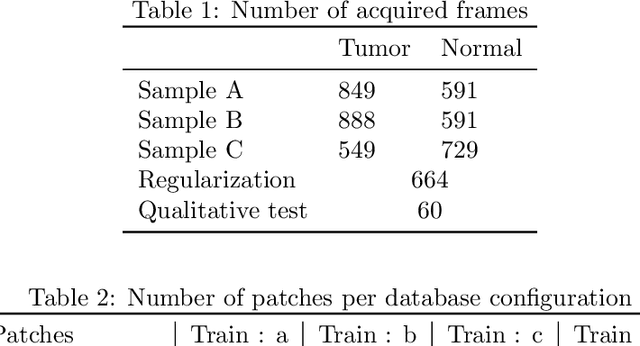 Figure 2 for Intraoperative margin assessment of human breast tissue in optical coherence tomography images using deep neural networks