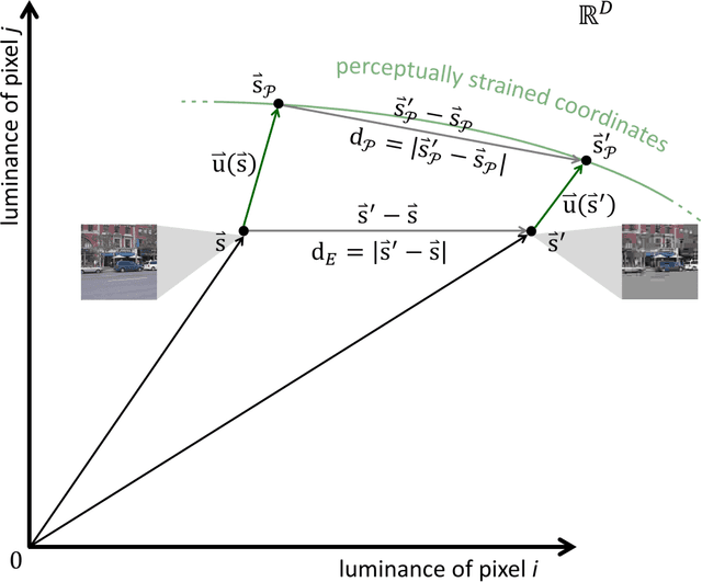 Figure 3 for Visual stream connectivity predicts assessments of image quality