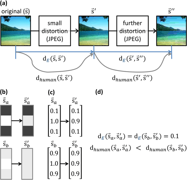 Figure 1 for Visual stream connectivity predicts assessments of image quality