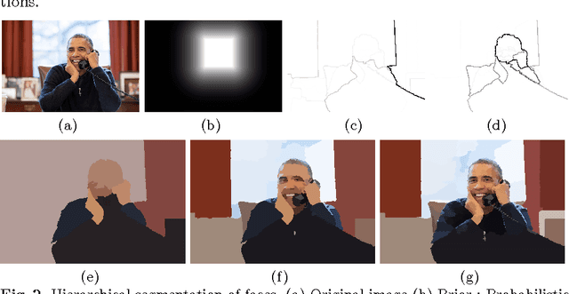 Figure 2 for Prior-based Hierarchical Segmentation Highlighting Structures of Interest