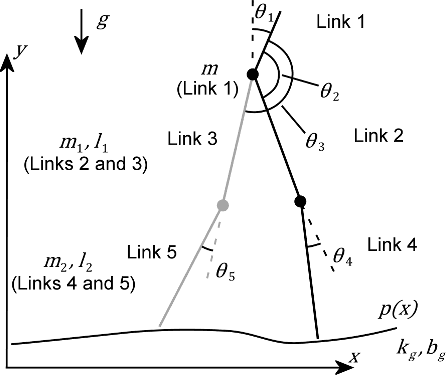 Figure 1 for Evolution of central pattern generators for the control of a five-link bipedal walking mechanism