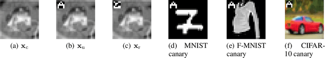 Figure 3 for Unintended memorisation of unique features in neural networks