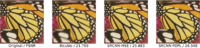Figure 1 for Frequency Domain-based Perceptual Loss for Super Resolution