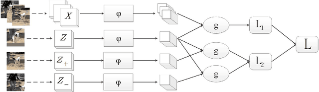 Figure 3 for Quadruplet Network with One-Shot Learning for Fast Visual Object Tracking