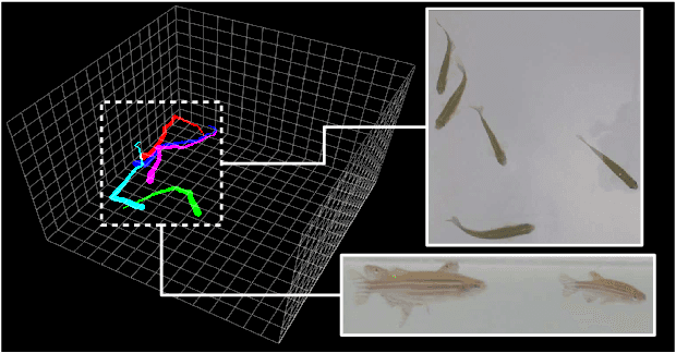 Figure 1 for 3D-ZeF: A 3D Zebrafish Tracking Benchmark Dataset