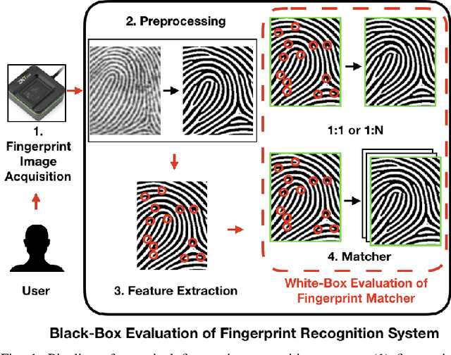Figure 1 for White-Box Evaluation of Fingerprint Matchers
