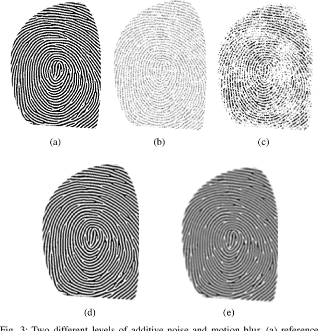 Figure 4 for White-Box Evaluation of Fingerprint Matchers