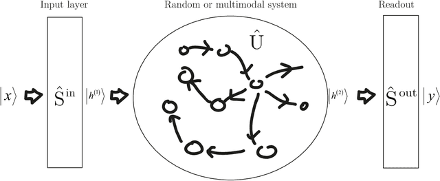Figure 1 for Programming multi-level quantum gates in disordered computing reservoirs via machine learning