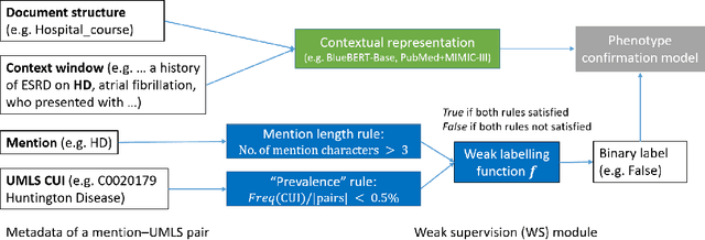 Figure 2 for Rare Disease Identification from Clinical Notes with Ontologies and Weak Supervision
