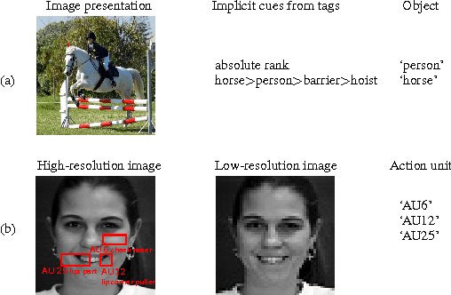 Figure 1 for Learning with Privileged Information for Multi-Label Classification