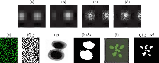 Figure 3 for Counting Objects by Diffused Index: geometry-free and training-free approach