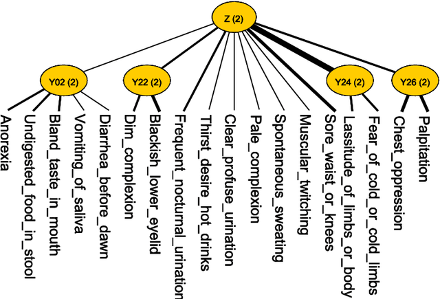 Figure 1 for Identification and classification of TCM syndrome types among patients with vascular mild cognitive impairment using latent tree analysis