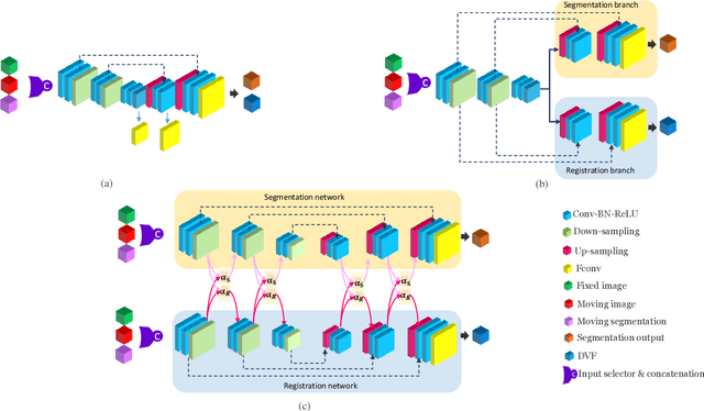 Figure 1 for Joint Registration and Segmentation via Multi-Task Learning for Adaptive Radiotherapy of Prostate Cancer