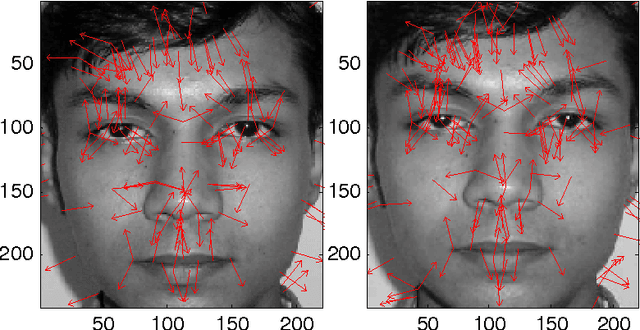 Figure 1 for Maximized Posteriori Attributes Selection from Facial Salient Landmarks for Face Recognition