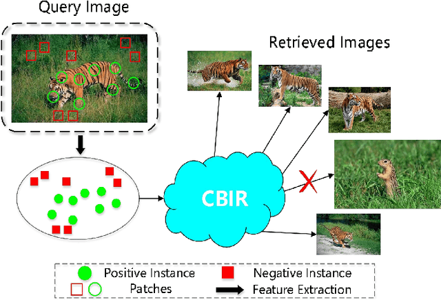 Figure 1 for PIGMIL: Positive Instance Detection via Graph Updating for Multiple Instance Learning