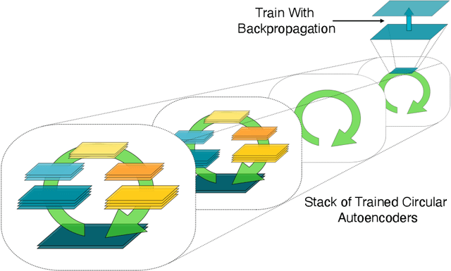 Figure 3 for Tourbillon: a Physically Plausible Neural Architecture