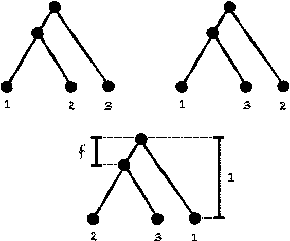 Figure 1 for Distance-based species tree estimation: information-theoretic trade-off between number of loci and sequence length under the coalescent