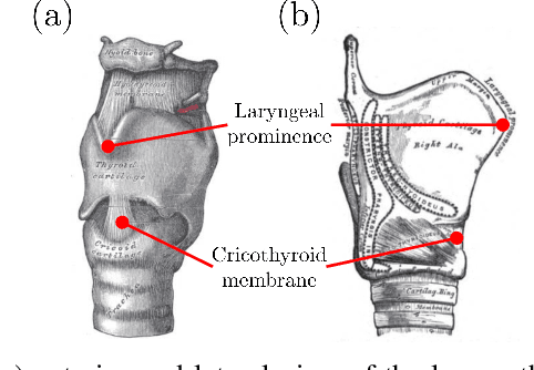 Figure 1 for Feasibility of Remote Landmark Identification for Cricothyrotomy Using Robotic Palpation