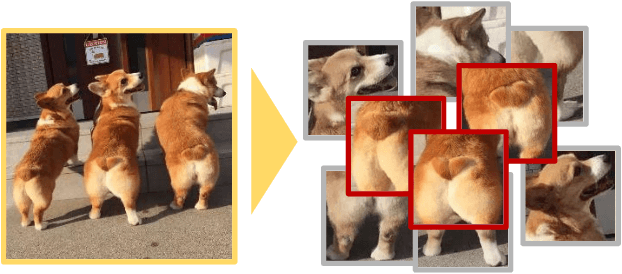 Figure 1 for Knowledge Transfer Based Fine-grained Visual Classification