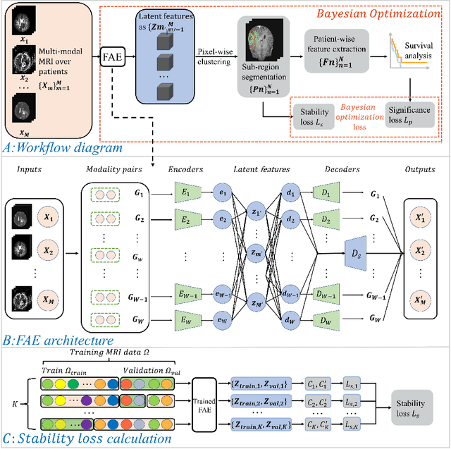 Figure 1 for Adaptive unsupervised learning with enhanced feature representation for intra-tumor partitioning and survival prediction for glioblastoma