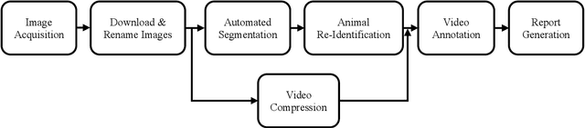 Figure 1 for An Image Processing Pipeline for Camera Trap Time-Lapse Recordings