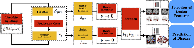 Figure 4 for Leveraging both Lesion Features and Procedural Bias in Neuroimaging: An Dual-Task Split dynamics of inverse scale space