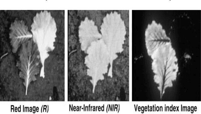 Figure 3 for A Review of Vegetation Encroachment Detection in Power Transmission Lines using Optical Sensing Satellite Imagery