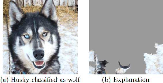 Figure 1 for Interpretability of Machine Learning Methods Applied to Neuroimaging