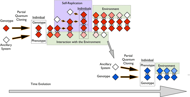 Figure 4 for Quantum machine learning and quantum biomimetics: A perspective