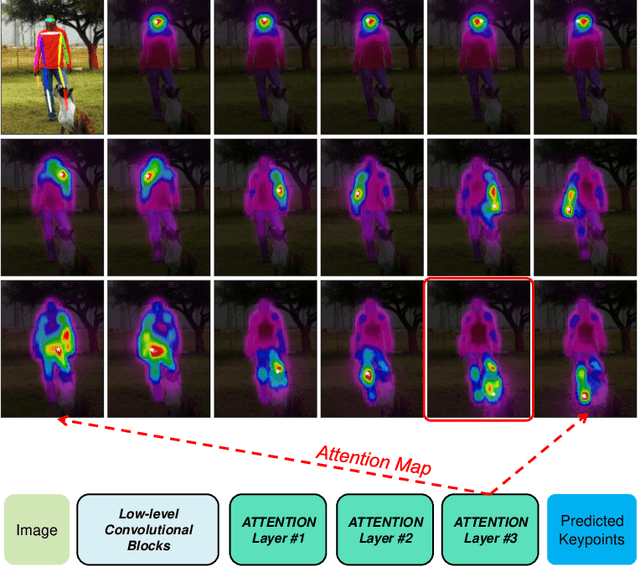 Figure 1 for TransPose: Towards Explainable Human Pose Estimation by Transformer