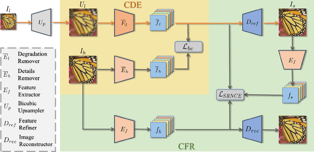 Figure 1 for Blind Image Super-Resolution via Contrastive Representation Learning