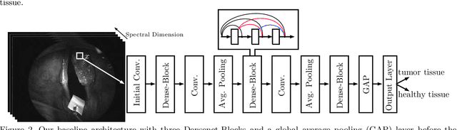 Figure 3 for Spatio-spectral deep learning methods for in-vivo hyperspectral laryngeal cancer detection